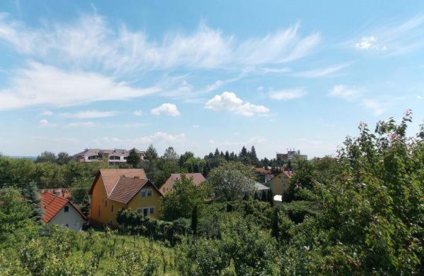 Bencze Vendeghaz Zalakaros Apartment Bagian luar foto